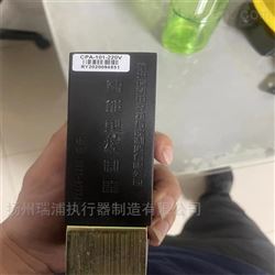 CPA-100-220 CPA-101-220杭州瑞裕执行器控制模块