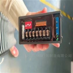 RPD-102,RPA-100,RPC-101瑞浦智能控制器