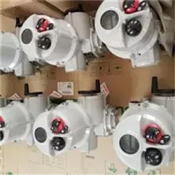 MOD6B MOD20B MOD6C罗托克60-114旋钮板二代IQ就地控制板