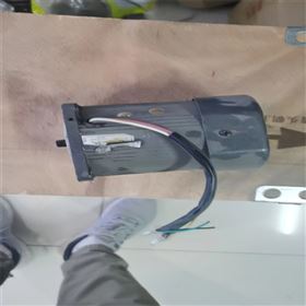 瑞浦381LSC-65/99电动执行器电机调节型